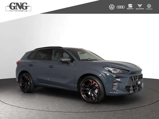 Cupra Terramar 2.0 TSI Prime Edition DSG 4Drive