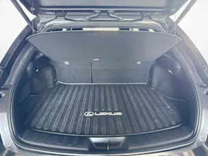 Lexus UX 300h F-Line
