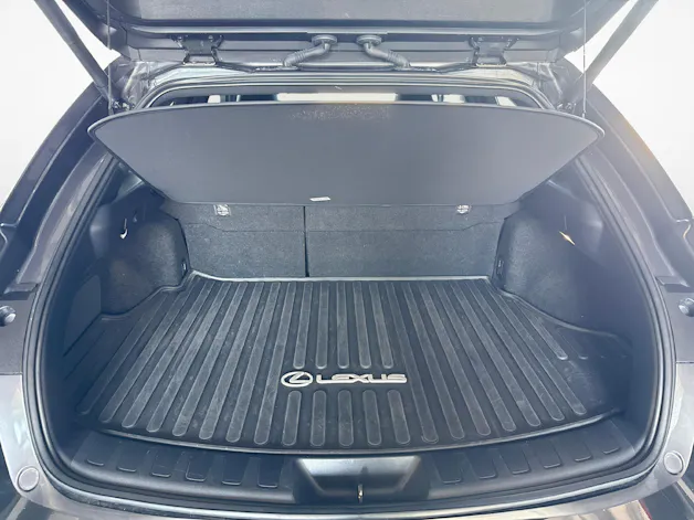 Lexus UX 300h F-Line