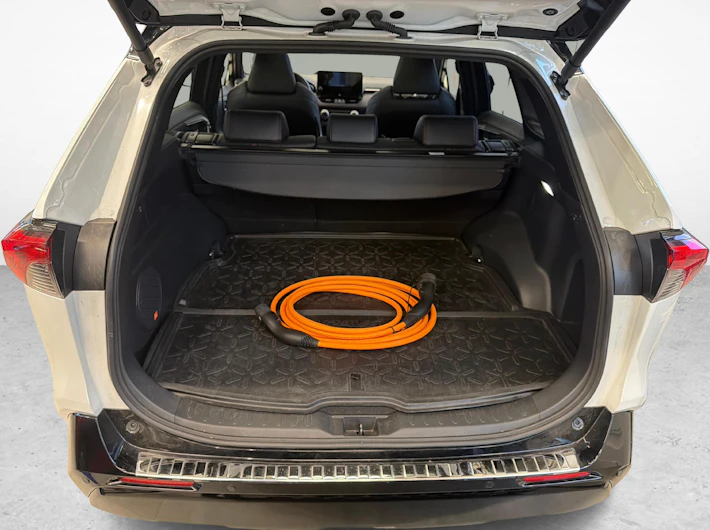 immagine del veicolo TOYOTA RAV-4