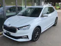 Škoda Fabia 1.0 TSI Selection DSG