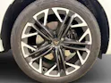 Cupra Terramar 2.0 TSI VZ 4Drive DSG