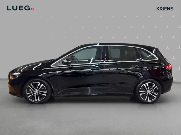 Mercedes-Benz B 220 4M - Progressive / Rückfahrkamera / Winter-Paket
