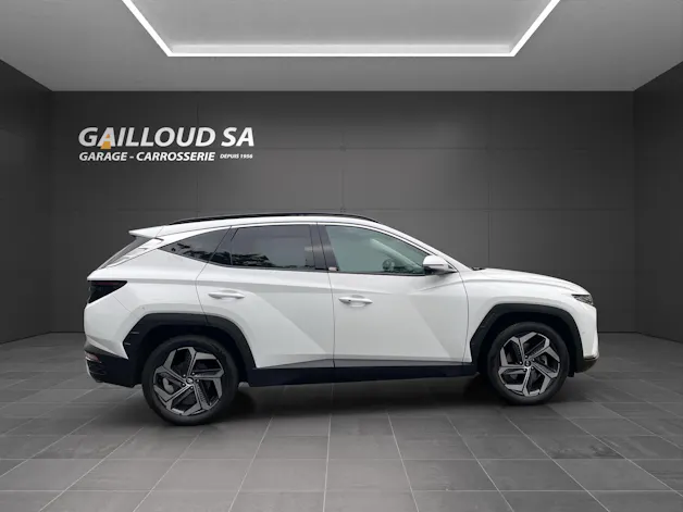 Hyundai Tucson 1.6 TGDI HEV N Line LUX pack 4WD