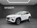 Hyundai Tucson 1.6 TGDI HEV N Line LUX pack 4WD