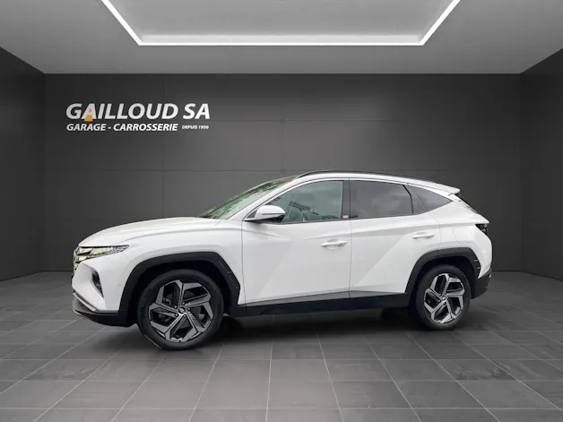 Hyundai Tucson 1.6 TGDI HEV N Line LUX pack 4WD