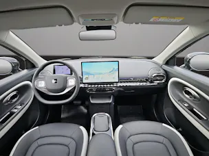 JAC E30X Electric
