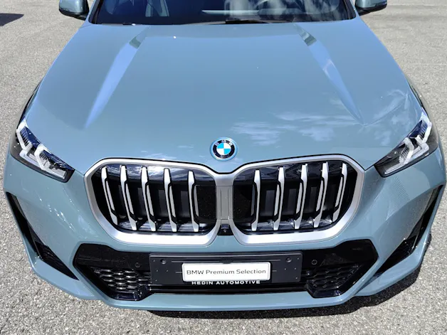 BMW X1 30e xDrive paddles