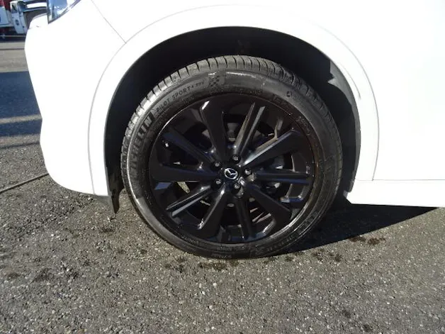 Mazda CX-60 3.3 D Homura