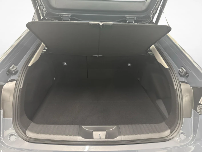 Fahrzeugbild TOYOTA PRIUS+