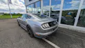 Ford Mustang Coupé 5.0 V8 GT