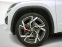 Škoda Kodiaq 2.0 TSI DSG RS