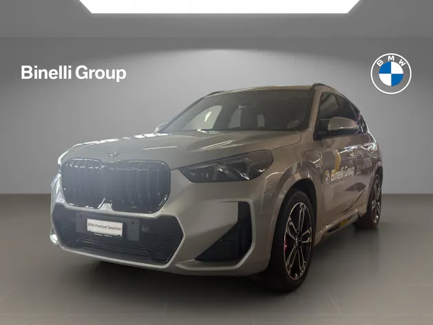 BMW X1 30e xDrive paddles