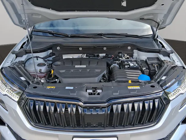 Škoda Karoq 2.0 TSI SportLine 4x4 DSG