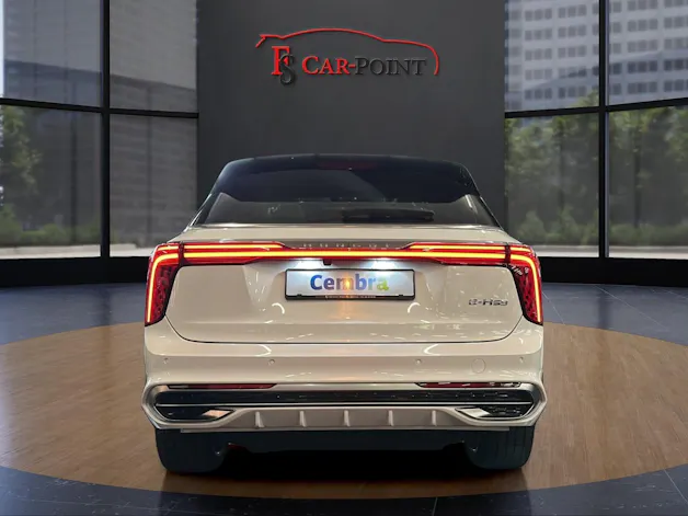 HONGQI E-HS9 Exclusive+ 120 kWh
