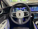 HONGQI E-HS9 Exclusive+ 120 kWh