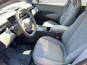 ZEEKR X Privilege AWD