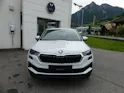 Škoda Karoq 2.0 TDI CR Dynamic 4x4 DSG