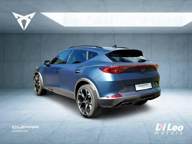 Cupra Formentor 2.0TSI 4Drive DSG