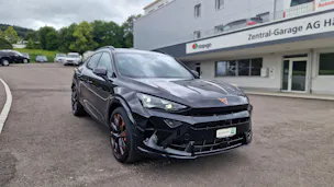 Cupra Formentor 2.0TSI Extreme 4Drive DSG