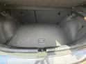 VW Polo 2.0 TSI GTI DSG