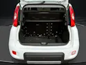 Fiat Panda 0.9 T TwinAir 4x4 S/S E6d