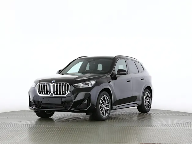 BMW X1 30e xDrive paddles