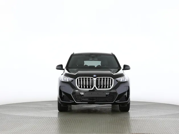BMW X1 30e xDrive paddles