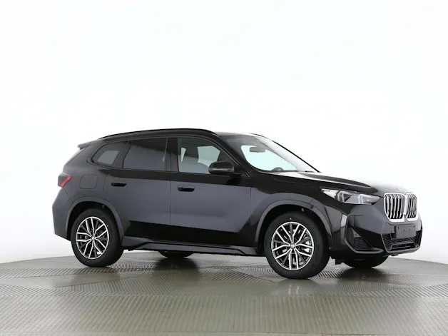 BMW X1 30e xDrive paddles