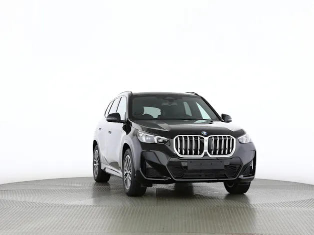 BMW X1 30e xDrive paddles