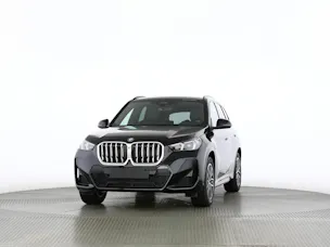 BMW X1 30e xDrive paddles