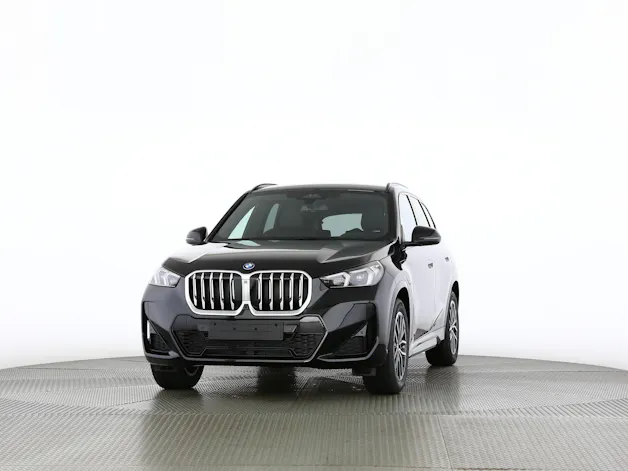 BMW X1 30e xDrive paddles