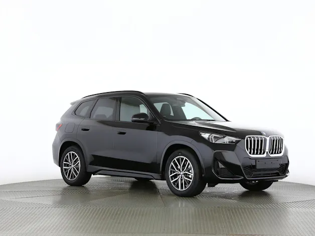 BMW X1 30e xDrive paddles