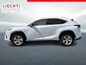 Lexus NX 300h F-Sport
