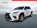 Lexus NX 300h F-Sport