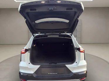 MITSUBISHI GRANDIS 14