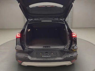 MITSUBISHI GRANDIS 14