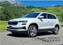 Škoda Karoq 2.0 TDI CR Style 4x4 DSG Anhängerkupplung+8-fach bereift*