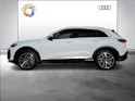 Audi Q5 e-hybrid quattro 220 kW S-tronic