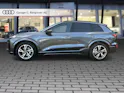 Audi Q6 e-tron quattro Daytonagrau Perleffekt