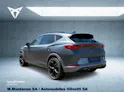 Cupra Formentor 2.0TSI VZ 4Drive DSG