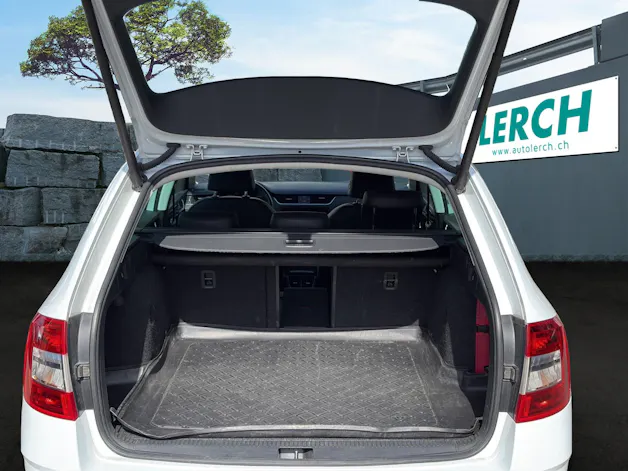 Škoda Octavia Combi 2.0 TSI Style 4x4 DSG