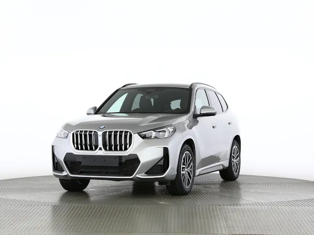 BMW X1 20d xDrive paddles