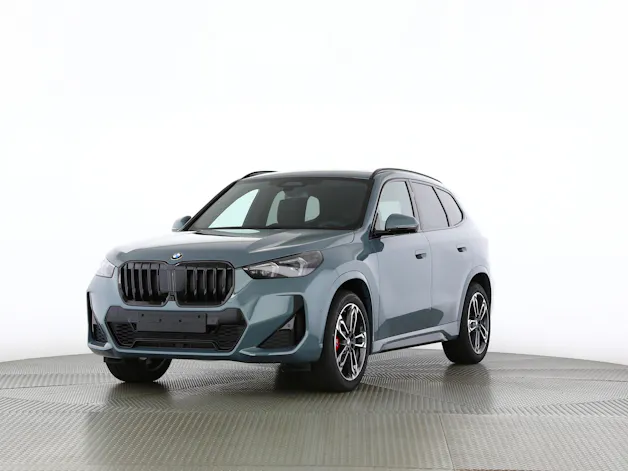 BMW X1 23d xDrive paddles