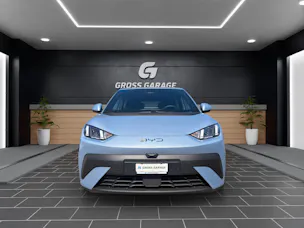 BYD Dolphin Surf Boost 43 kWh