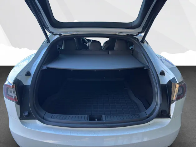 Tesla Model S 100 D