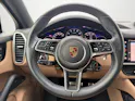 Porsche Cayenne Coupé 2.9 V6 S Platinum Edition