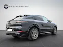 Porsche Cayenne Coupé 2.9 V6 S Platinum Edition