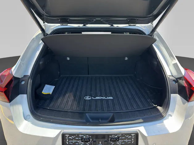 Lexus UX 300h Excellence