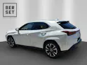 Lexus UX 300h Excellence